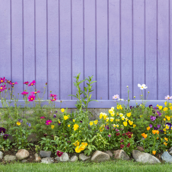 8_1